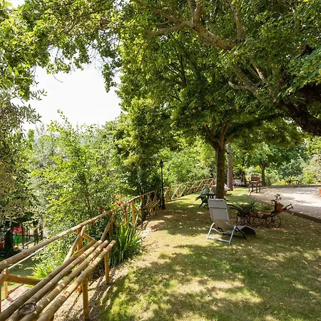 Ferienhaus In With Pool Assisi